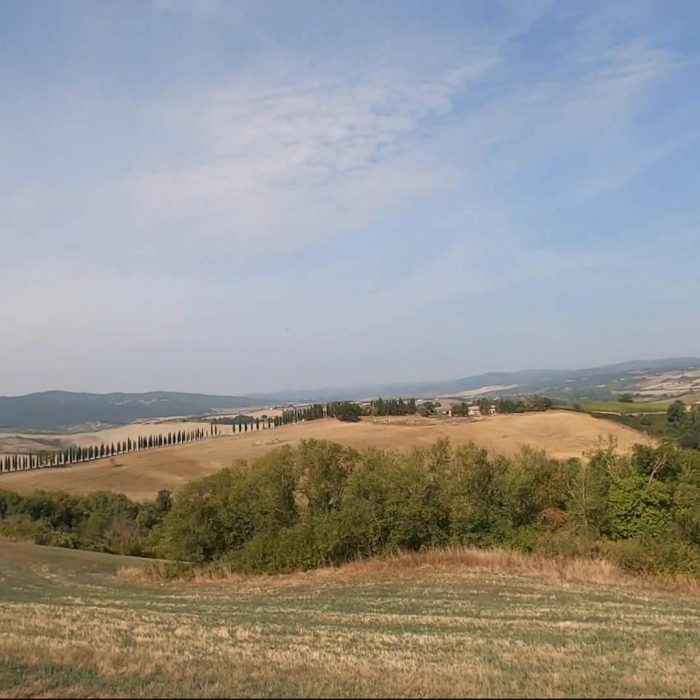 STRBIATR24