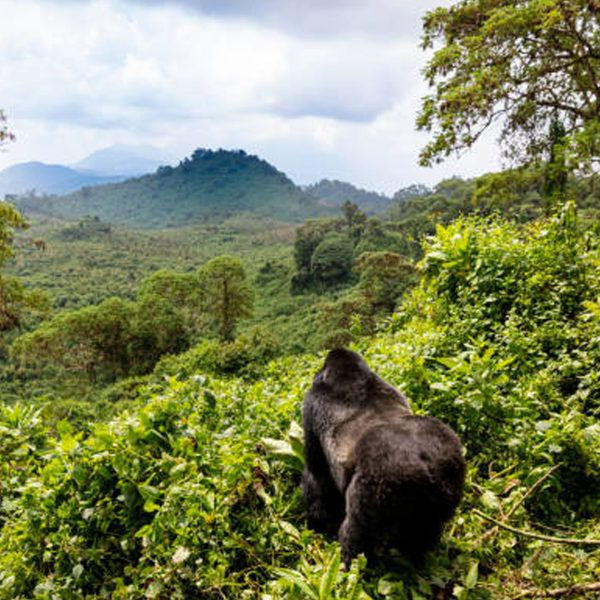 Future 4 Kids Rwanda 19-29 september