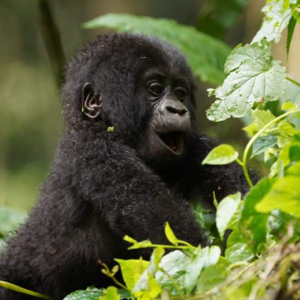 Future 4 Kids Rwanda 19-29 september