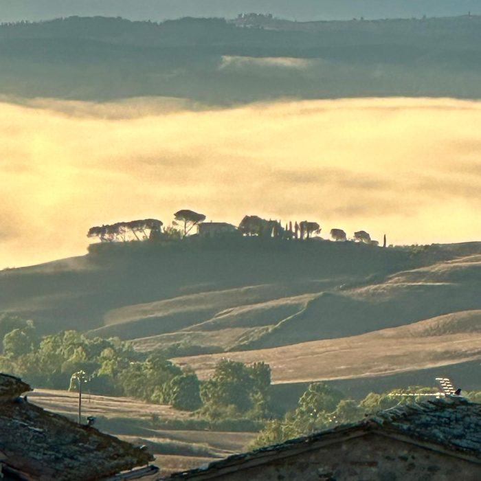 0e8c4da6-12cc-4e0f-8570-f8bc50fcd58e