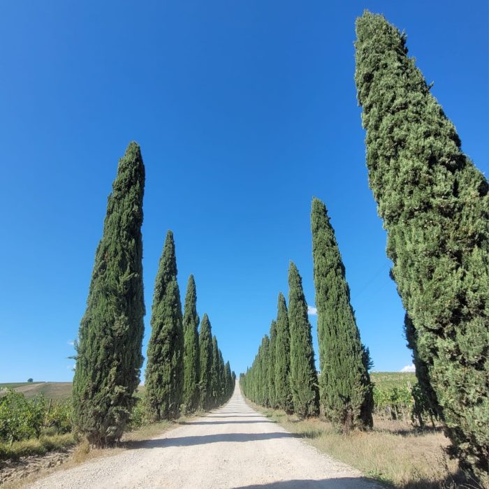 d7aef293-b3ca-489b-94ad-b02480ba1398