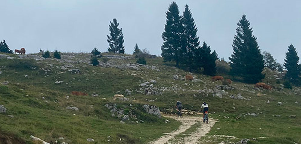 trentogravel-popup_01