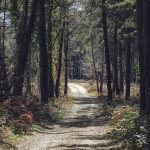 Kickstart 2026: Girona 12-17 januari