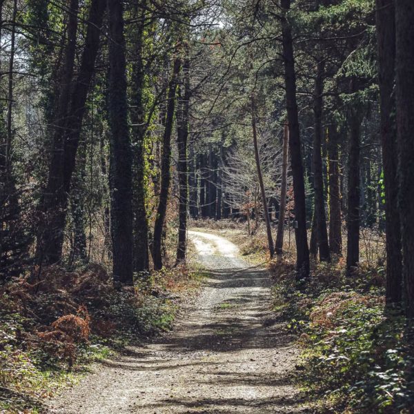 Kickstart 2026: Girona 12-17 januari